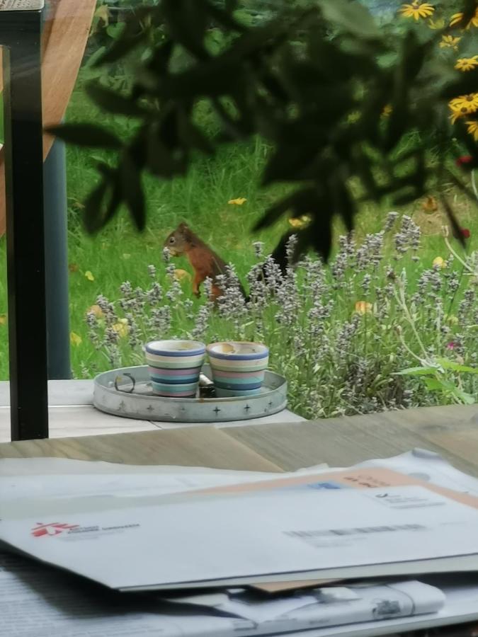 Scrab&Ble Ecologische Gastenkamers Bornem Dış mekan fotoğraf